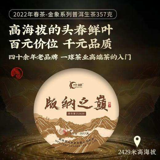 一球2022春茶版纳之巅普古树纯料普洱生茶饼 商品图0