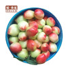 【GYZYDR】油桃500g 商品缩略图0