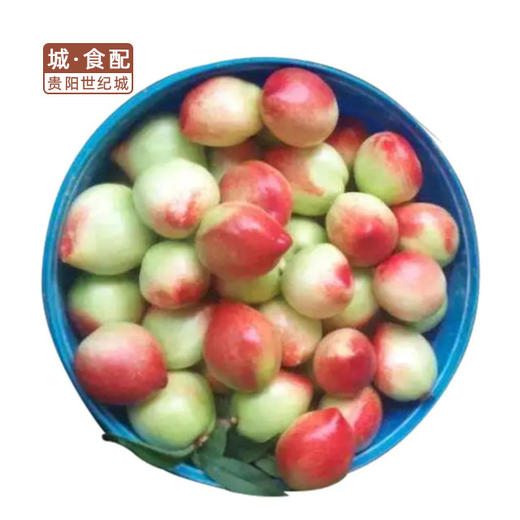 【GYZYDR】油桃500g 商品图0