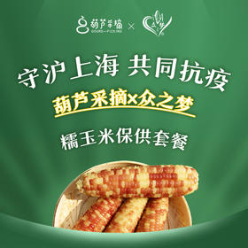 【糯玉米】香甜软糯，单品或混搭30份起送