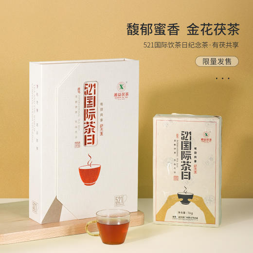 【521国际茶日】 湘益茯茶 有茯共享 茯茶 黑茶 1000g 商品图1