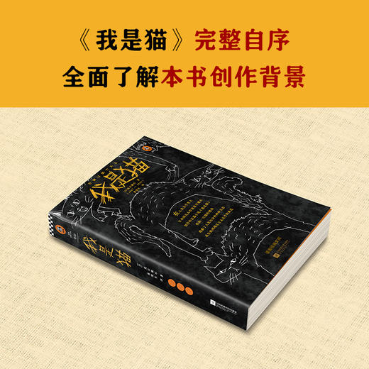 我是猫（一针见血，针针见血，戳破人间荒唐事！） 商品图4