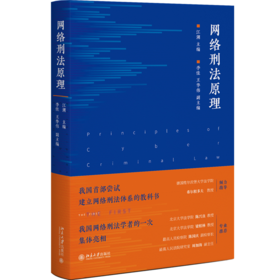 网络刑法原理 江溯 北京大学出版社