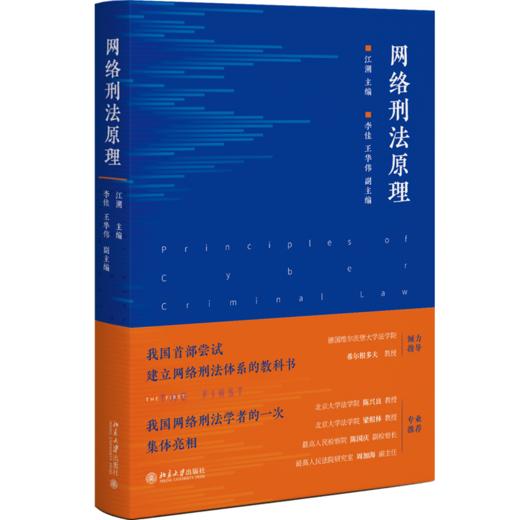 网络刑法原理 江溯 北京大学出版社 商品图0