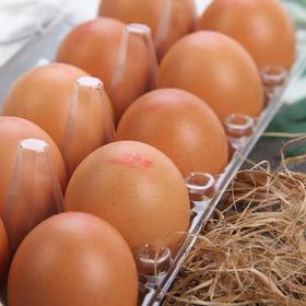 桂青源谷物蛋（盒）