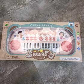多功能音乐琴33314