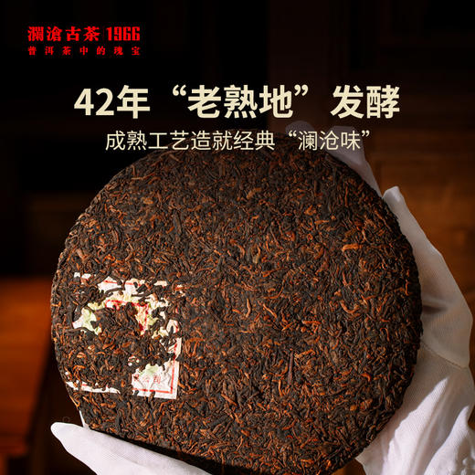 【99划算预售】澜沧古茶5年陈古木香普洱熟茶大饼提客装352g*7 商品图4