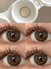 sugarplum 糖豆 年抛美瞳 奶香栗 直径14.5mm 着色13.2mm 商品缩略图14