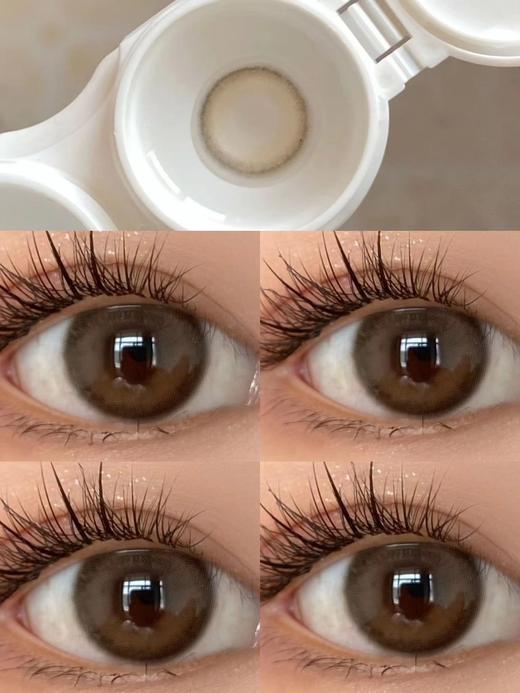 sugarplum 糖豆 年抛 奶香栗 直径14.5mm 着色13.2mm 商品图2