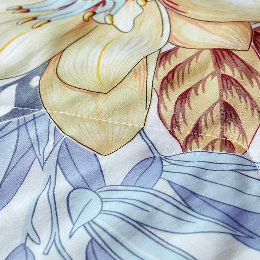 富安娜莱赛尔印花水洗蚕丝夏被/丝柔系列▪雅梦 商品图2