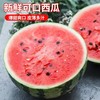 8424西瓜约8斤左右/只 商品缩略图0