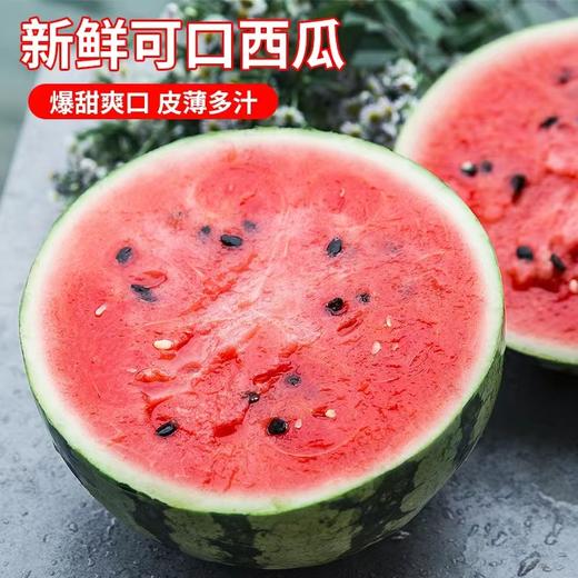 8424西瓜约8斤左右/只 商品图0