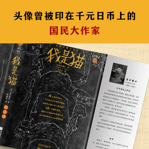 我是猫（一针见血，针针见血，戳破人间荒唐事！） 商品图7