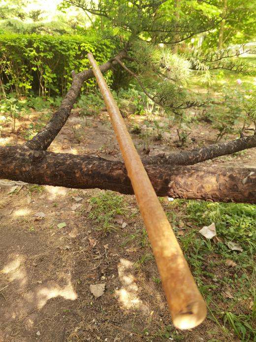 【推荐】太极养生杆 商品图3