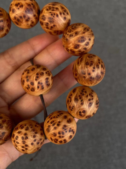 太行山崖柏满雀眼2.0手串 商品图3