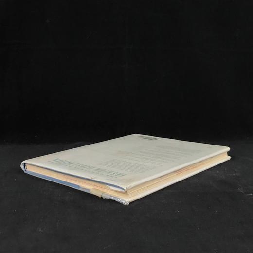 时尚插画完全指南 约200幅彩色插图 精装16开 商品图2