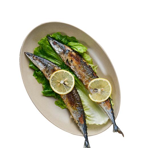 壳氏唯中式椭圆盘中号 商品图0