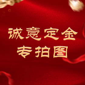 诚意定金专拍图片