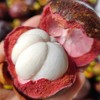泰国老树山竹  4.5斤装  (京东快递) 商品缩略图4