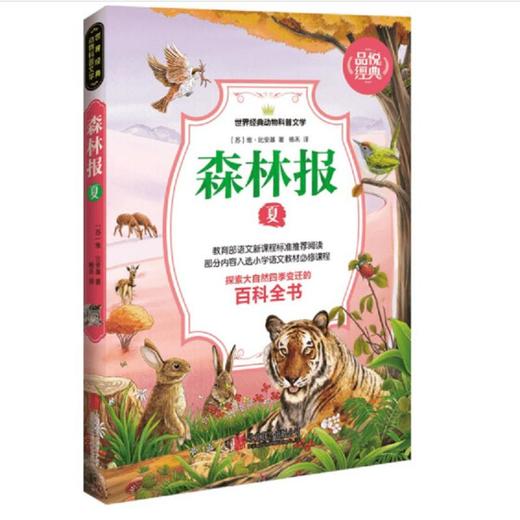 森林报 夏 商品图0