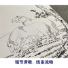 张大千竖幅工笔动物白描底稿-《陈居中二马图》-多种白描尺寸可选-QD40 商品缩略图4