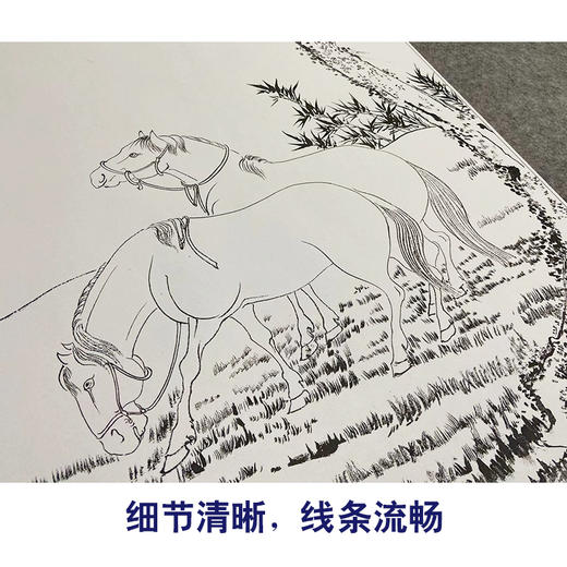 张大千竖幅工笔动物白描底稿-《陈居中二马图》-多种白描尺寸可选-QD40 商品图4