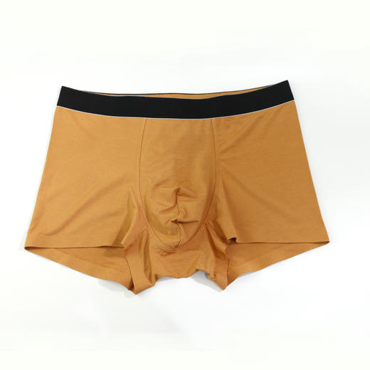 男丨男士莫代尔内裤平脚时尚薄底裤【CSM22103】 商品图3