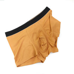 男丨男士莫代尔内裤平脚时尚薄底裤【CSM22103】