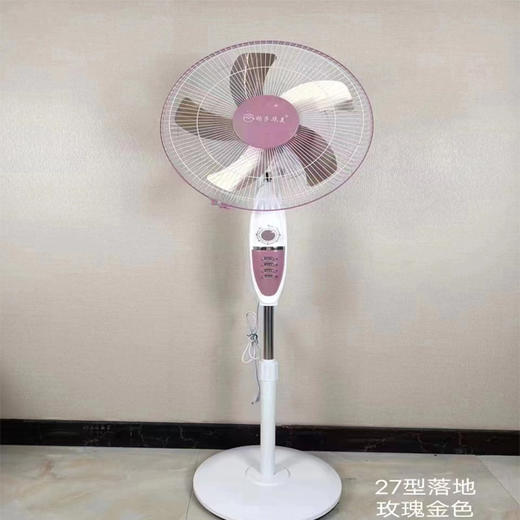 【99元/台】扬子华美/菊花27（1111360） 商品图0