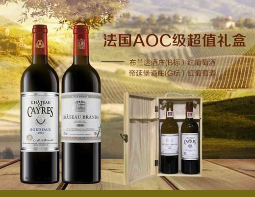 拉蒙经典波尔多葡萄酒（布兰达B+帝延堡G/E)双支礼盒750ml 商品图1