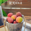 妃子笑不泡水的干荔枝 商品缩略图9