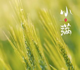  小满 | 脸垮，油腻，干巴，都可以在这个时节得到修复 