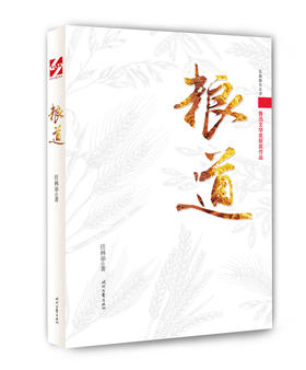 (仓发) 粮道/时代文艺出版社/任林举/9787538752854