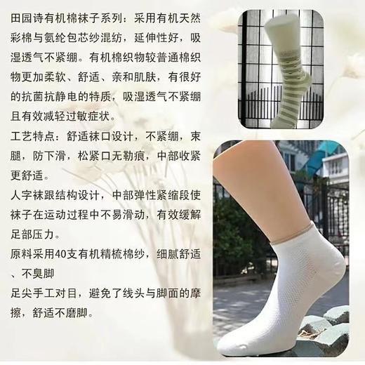 【产地直发包邮】乐坊—男、女夏季船袜组合 商品图3