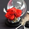 永生花三朵红玫瑰玻璃罩摆件 我爱你 商品缩略图0