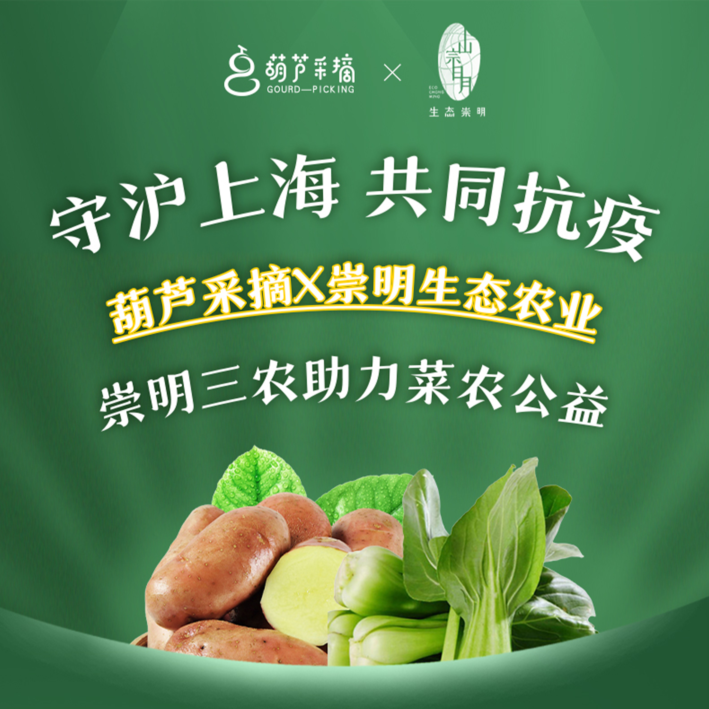 【蔬菜组合公益套餐】崇明红皮土豆3斤+上海青3斤，29元/份，50份起送