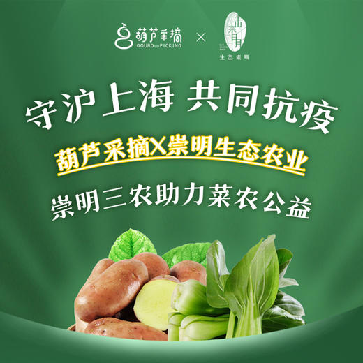 【蔬菜组合公益套餐】崇明红皮土豆3斤+上海青3斤，29元/份，50份起送 商品图0
