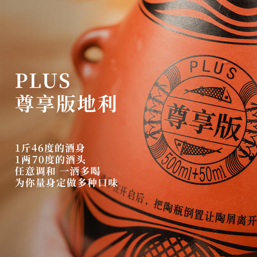 单瓶装 彩陶坊尊享版地利 礼盒装 500ml46度+50ml70度酒头 送礼宴请 商品图5