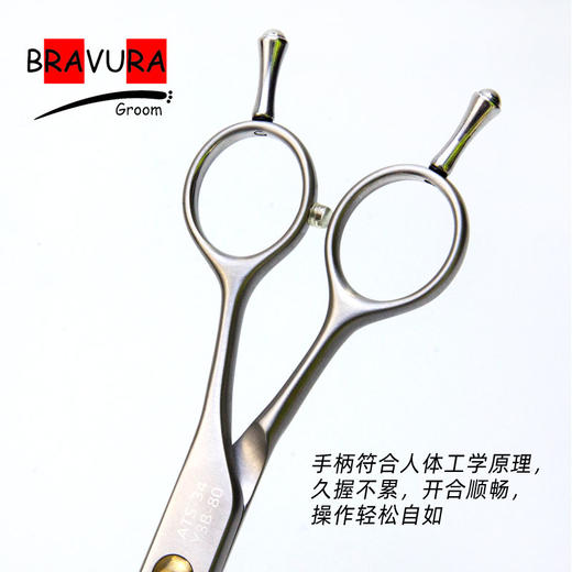 弯剪 Y3B 意大利BRAVURAGROOM宠物美容Y系列 商品图4
