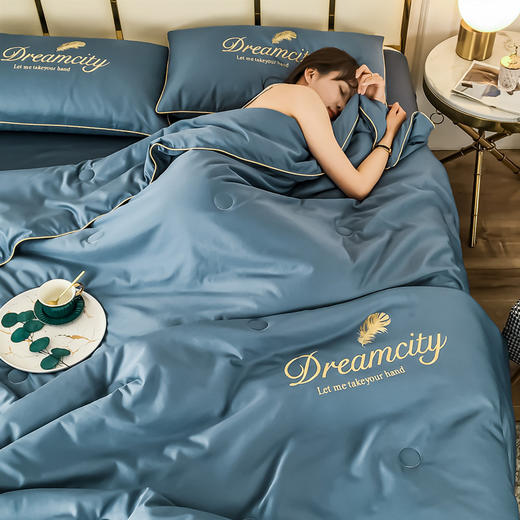 【可水洗真丝空调被】夏季薄款夏凉被四件套 家用单双人冰丝被 商品图2
