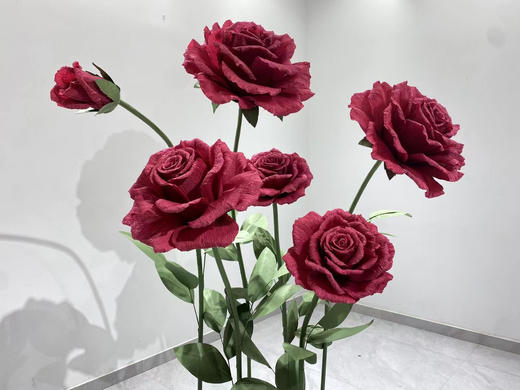 玫瑰套餐（运费自理） 商品图2