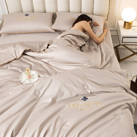 【可水洗真丝空调被】夏季薄款夏凉被四件套 家用单双人冰丝被 商品图4