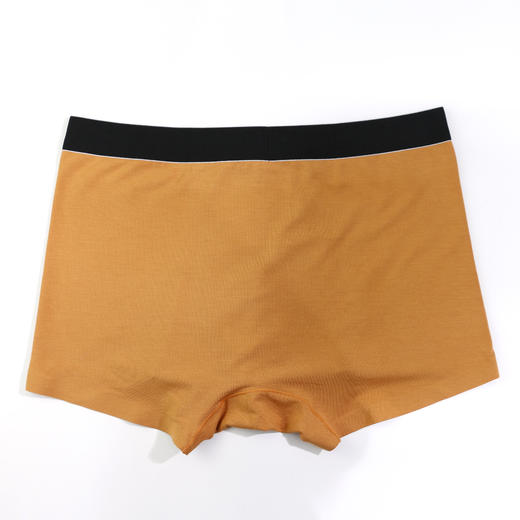 男丨男士莫代尔内裤平脚时尚薄底裤【CSM22103】 商品图4