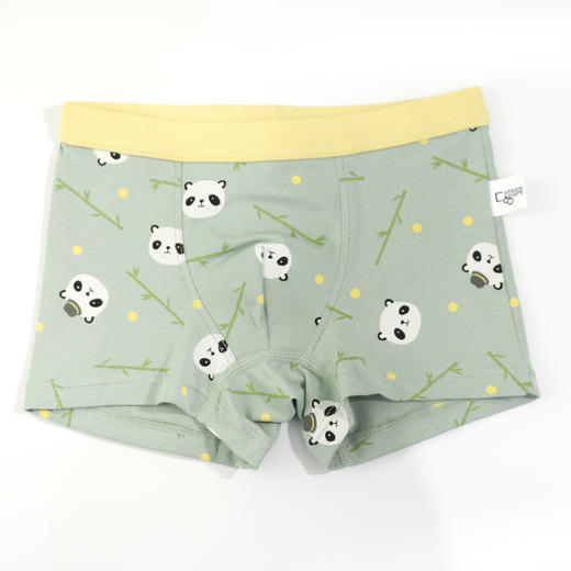 男童【2条装】丨儿童新款混装平脚裤可爱熊猫内裤底裤男童【CSK22301】 商品图4