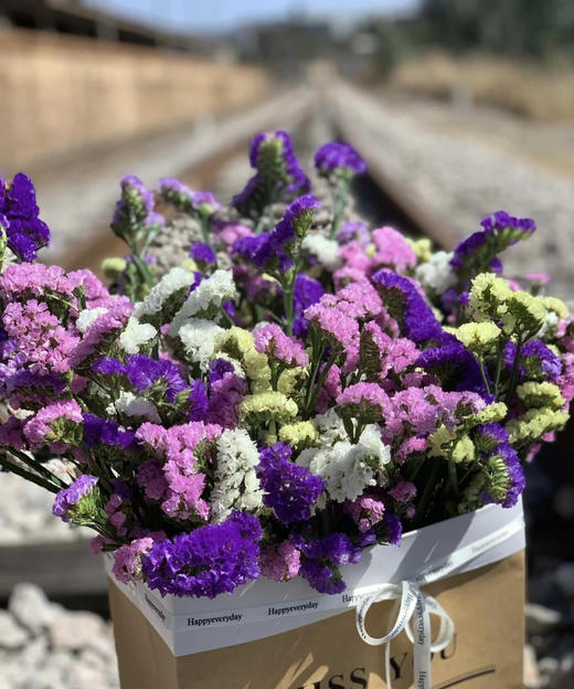 勿忘我  多色可选  约1斤/扎 商品图2