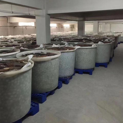 丨有机丨咸鸭蛋 熟鸭蛋6枚装两盒（408g/盒） 开袋即食 商品图3