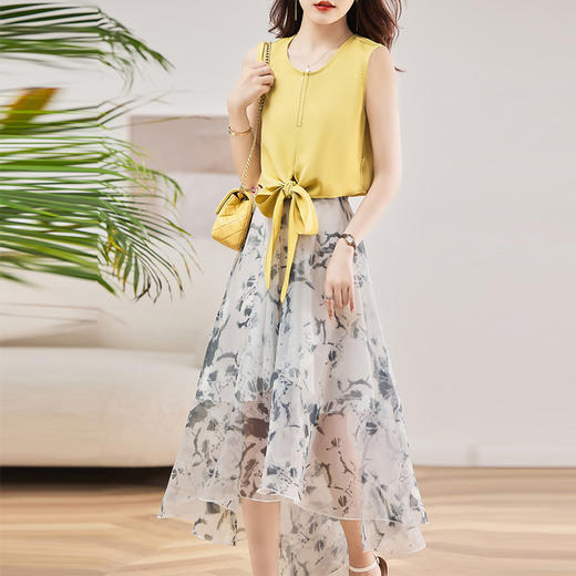 休闲时尚，气质优雅纱裙印花两件套HR-AMS2237 商品图3