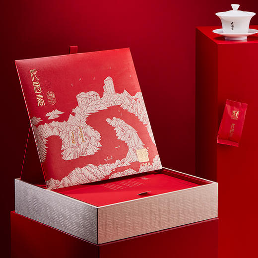 元正 沁园春礼盒 小种红茶特级武夷红茶送礼250g 商品图3