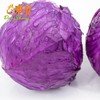 东升农场有机紫椰菜紫甘蓝400g 商品缩略图1