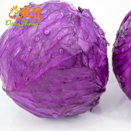 东升农场有机紫椰菜紫甘蓝400g 商品图1